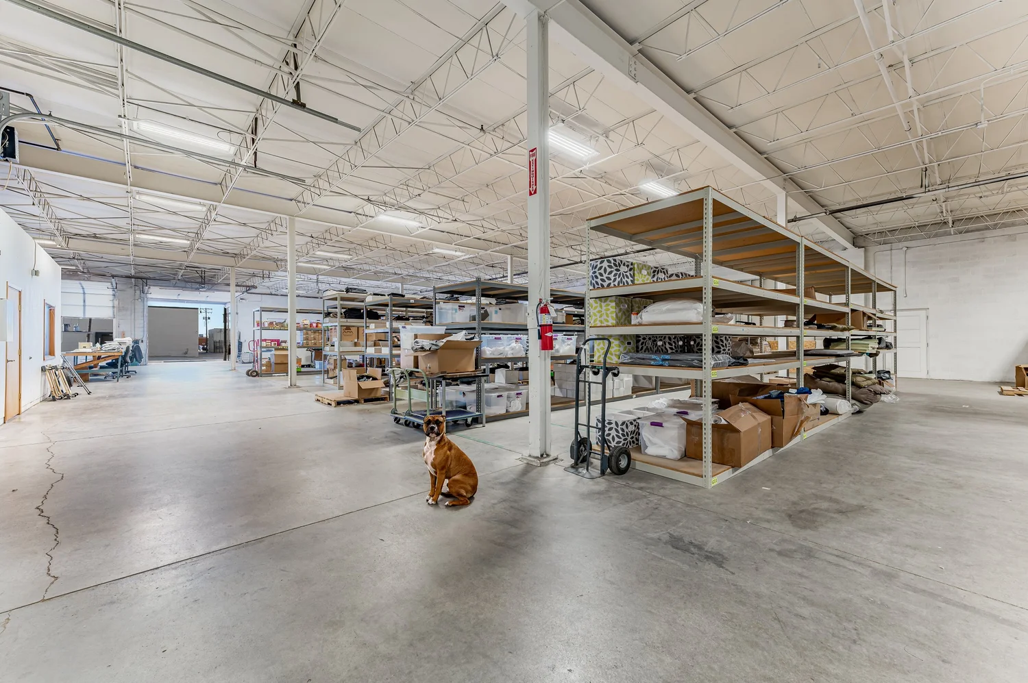 pet product manufacturer