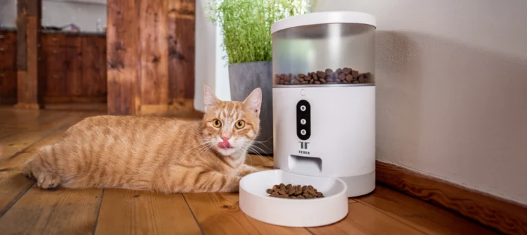 smart-pet-feeder