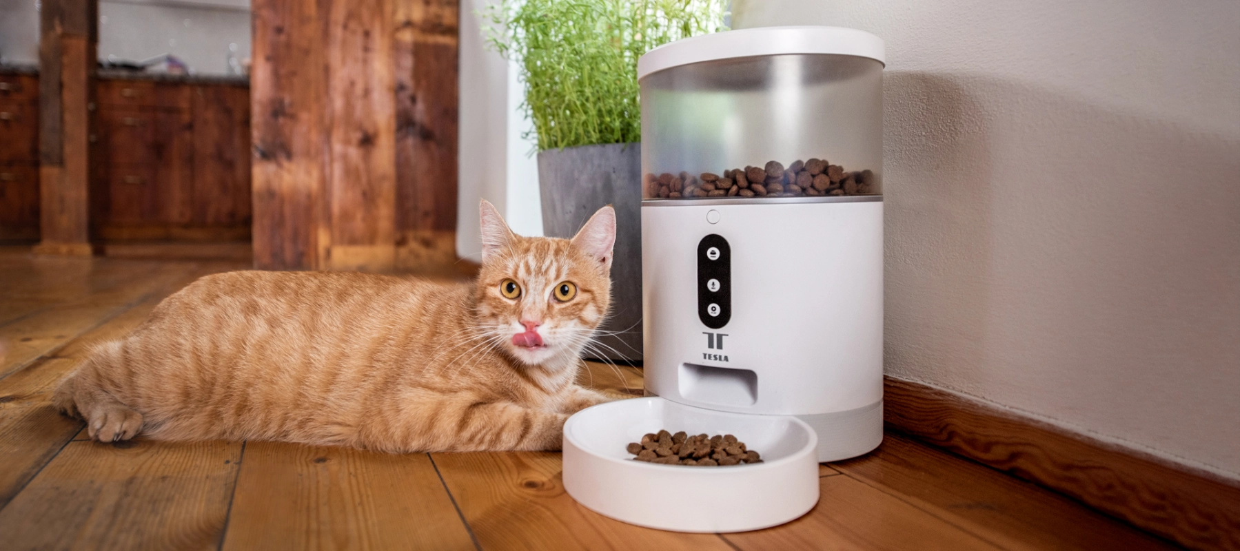 smart-pet-feeder