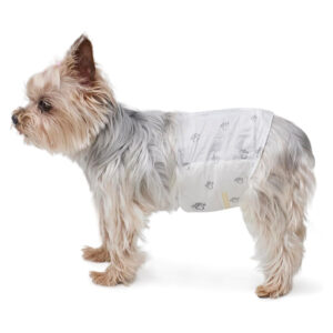 Male-Dog-Diapers