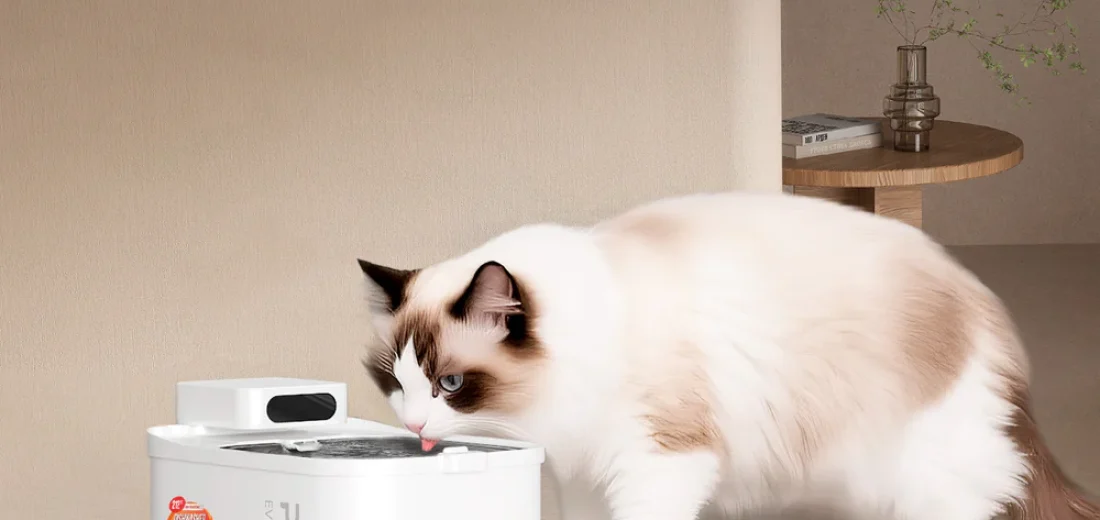 pet water fountain