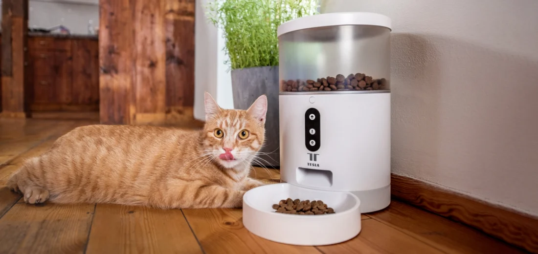 smart-pet-feeder